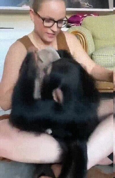 Enlace a Son los mejores amigos