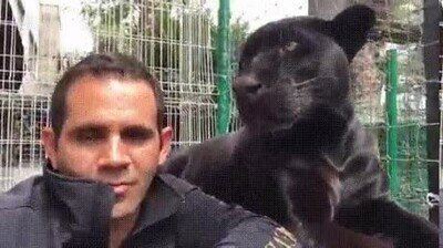 amor,humano