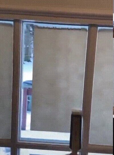 Enlace a Da un montón de gustito verlo