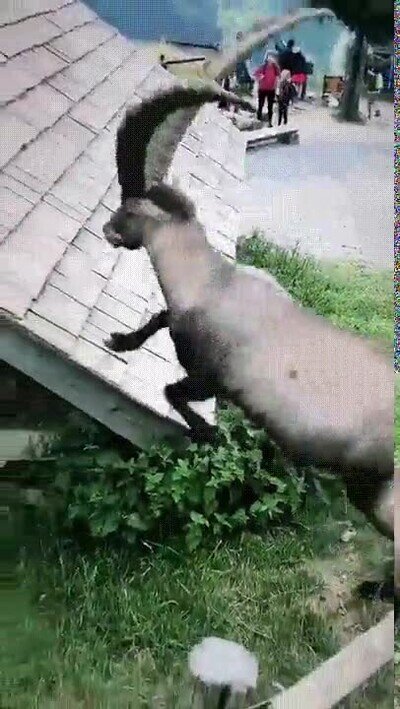 Enlace a Las mejores vistas en todo el pueblo