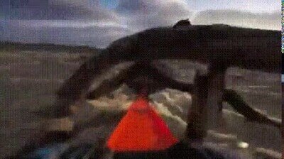 Enlace a Hotwheels en primera persona