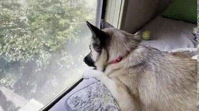 Enlace a Es su canal de televisión favorito