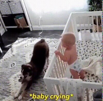 Enlace a La mejor niñera