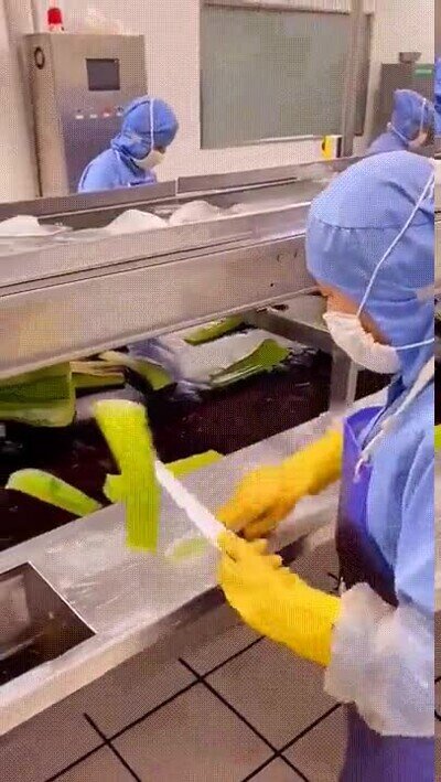 Enlace a Así se hace el Aloe Vera