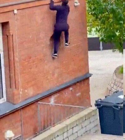 Enlace a Spider-man en la vida real