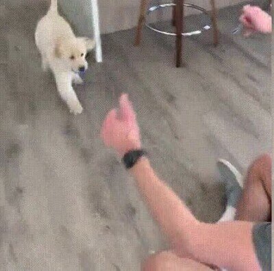 Enlace a Saltando hacia los brazos de papá