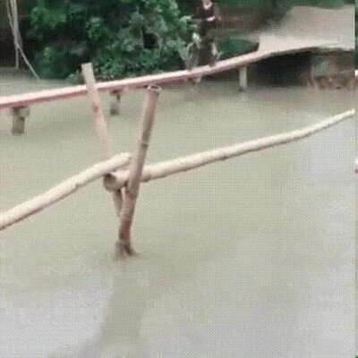 Enlace a Yo me habría caído seguro