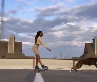 Enlace a Cuidado cuando vayas a jugar con tu perro