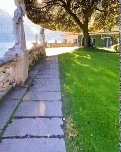 Enlace a El árbol más majestuoso que he visto en tiempo