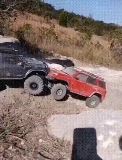 Enlace a La naturaleza es maravillosa