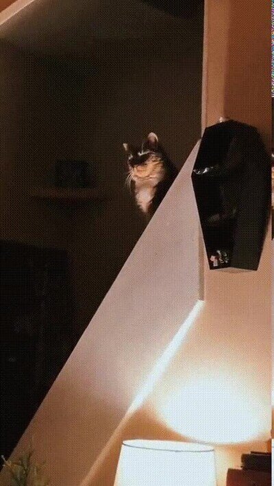 Enlace a Los bosses de Elder Ring