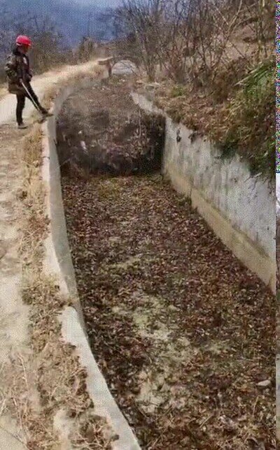 Enlace a Estas cosas dan un mal rollo increíble