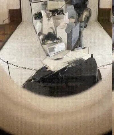 maravilla,retrato,tesla