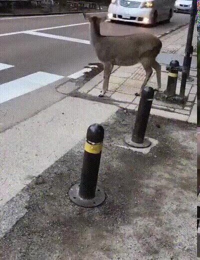 esperar,cruzar
