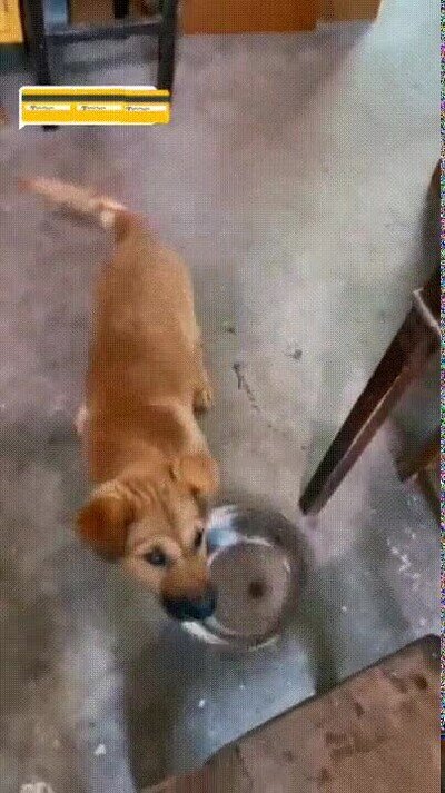 Enlace a Ha llegado la hora de comer