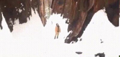 Enlace a Un árbol del tamaño de un gigante