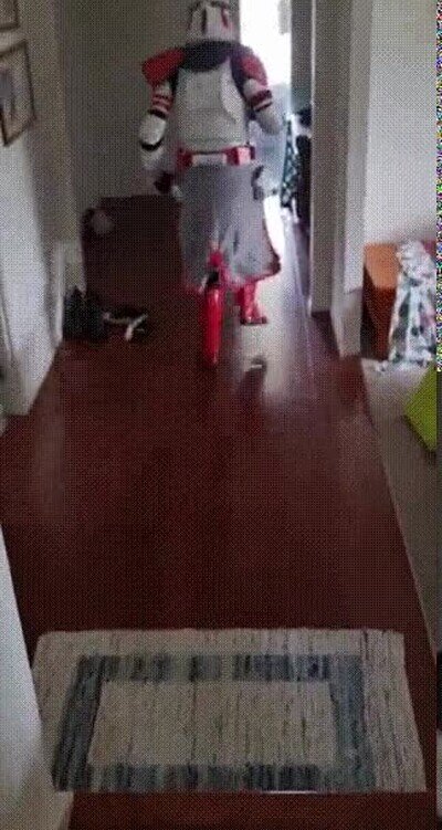 cosplay,perro