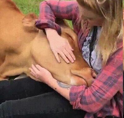 Enlace a Solo quiere un poco de mimos