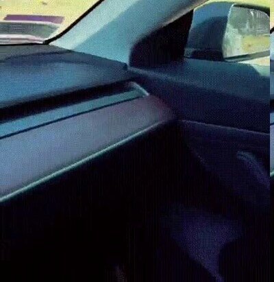 Enlace a La IA de Tesla detectando gente en el un cementerio