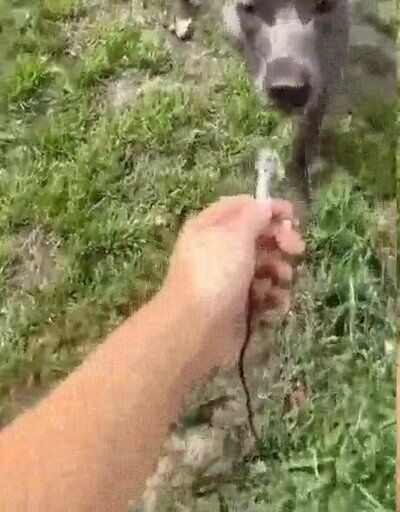 Enlace a Una entrevista con pocas palabras