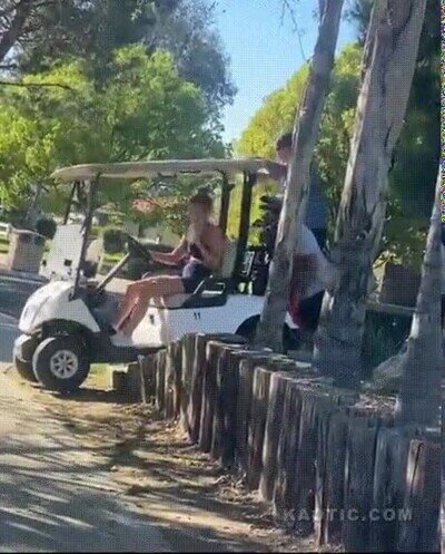 Enlace a Vaya liada con el carrito