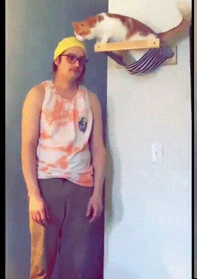 Enlace a No te deja salir de casa con sombrero