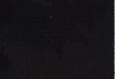 Enlace a El momento en el que un tiburón se traga una cámara