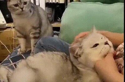 Enlace a La mayor traición