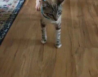 Enlace a Vinicius cuando entra dentro del área