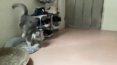 Enlace a Así me levanto antes de ir al trabajo