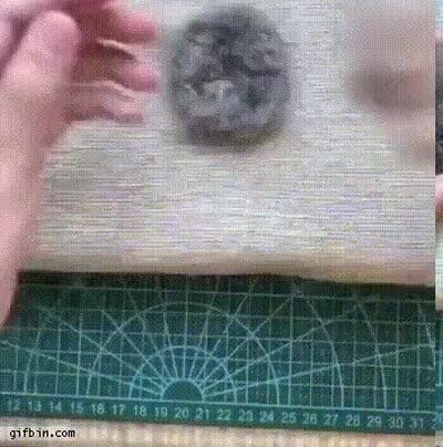 Enlace a Ha creado una reproducción de su perro