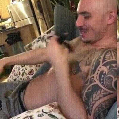 Enlace a Creo que el pájaro está celoso