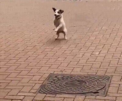 Enlace a No le hace falta nadie para pasarlo bien