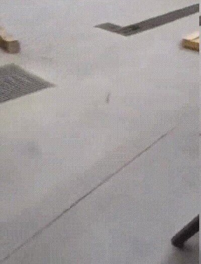 Enlace a ¿Qué demonios acabo de ver?