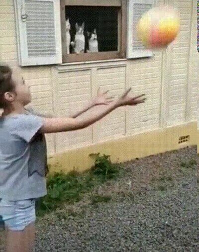 Enlace a Un partido la mar de emiaucionante