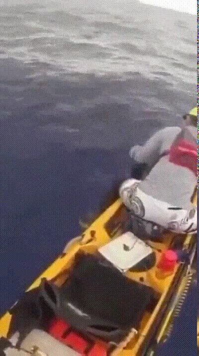 Enlace a Lo mas terrorífico que puedes ver en alta mar