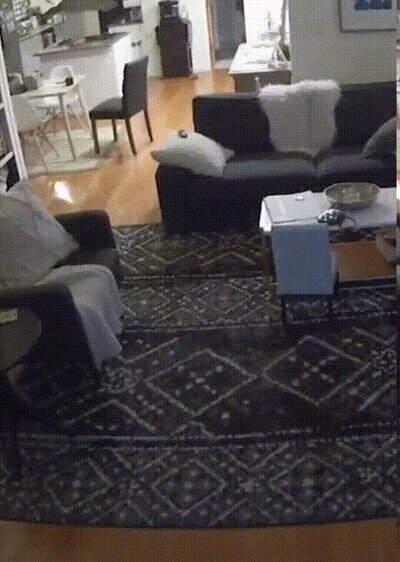 Enlace a Candidato a mejor padre del año