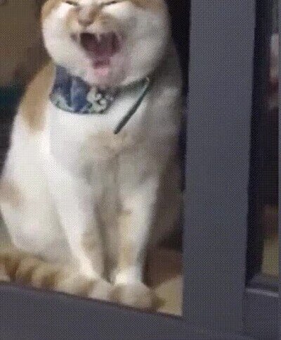 Enlace a No era simplemente un bostezo