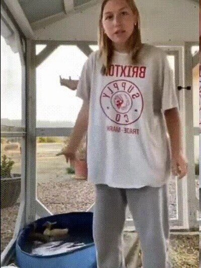 Enlace a ¿Qué demonios acaba de pasar?