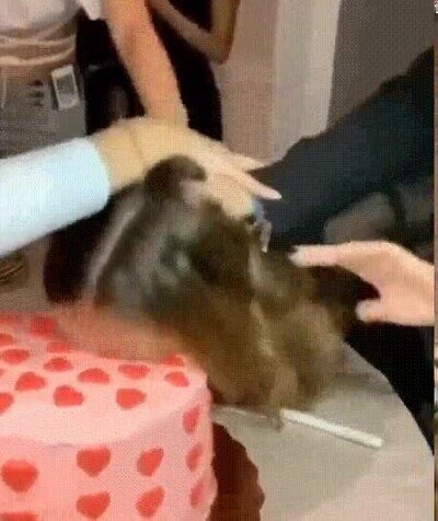 Enlace a El típico pastel que no termina bien