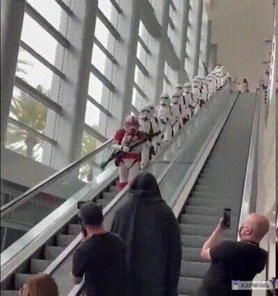 Enlace a ¿Qué harías si te los encuentras?