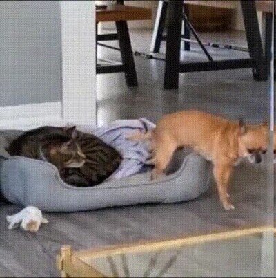 Enlace a Lo hace con todo el cuidado del mundo