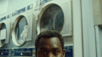 rato,perdido,lavander&iacute;a