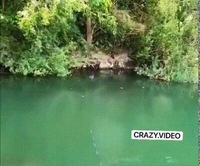 Enlace a Mal sitio para ponerse a pescar