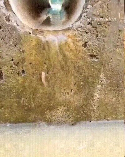 peces,cascada