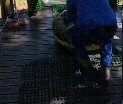 Enlace a ¿Te atreverías a subir?