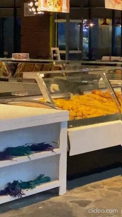 Enlace a Un gato ladrón pillado in fraganti