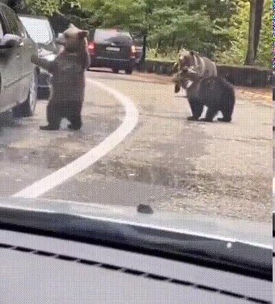 Enlace a Choca esos cinco colega