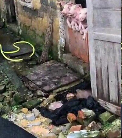 Enlace a Cuando vas a la discoteca con los amigos y te sientas en la barra