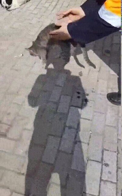 Enlace a Quiero irme a casa contigo